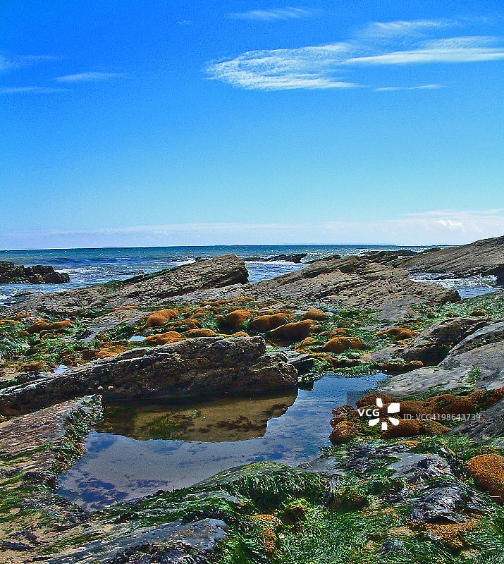 潮间带图片素材