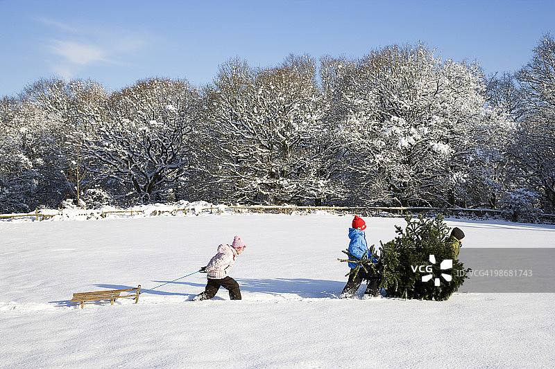 儿童拉圣诞树图片素材