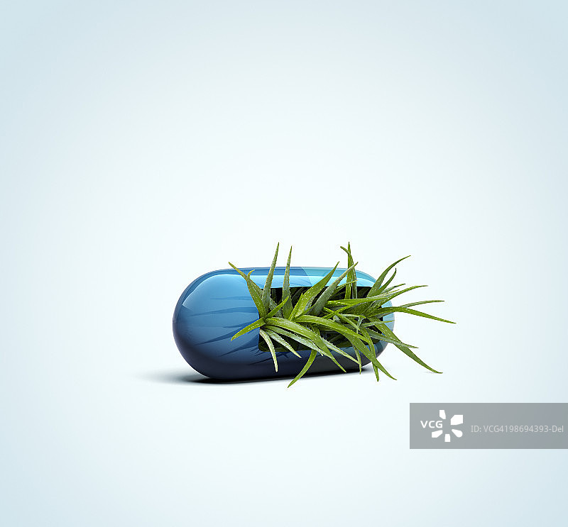 芦荟胶囊图片素材