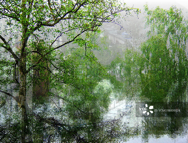 街道：水与树图片素材