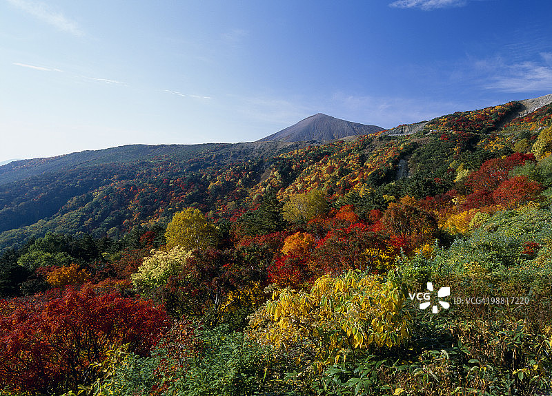 日本福岛县天狗花园的秋叶图片素材