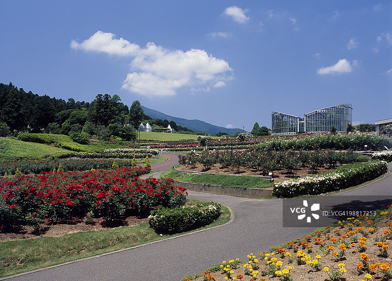 茨城县石冈市茨城花卉公园图片素材