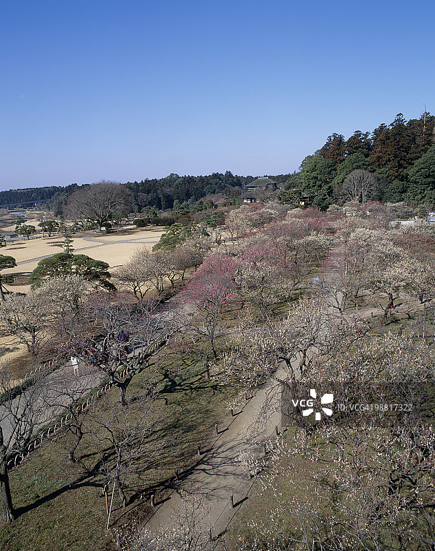 日本茨城县水户市偕乐园图片素材