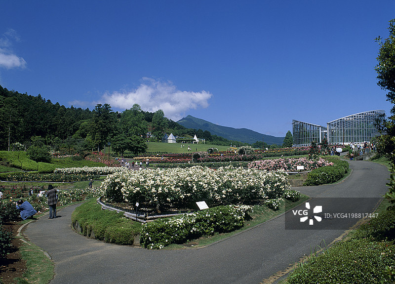 茨城县石冈市茨城花卉公园图片素材