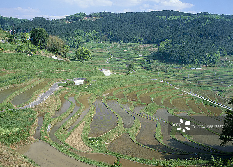 日本冈山县美咲町大垪梯田图片素材