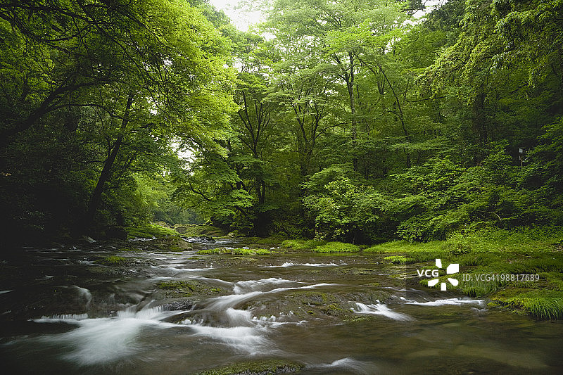 日本熊本县菊池市菊池峡谷图片素材
