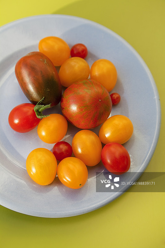 各种颜色的番茄图片素材