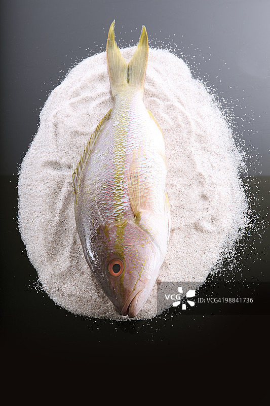 盐床上的整只 snapper 鱼图片素材
