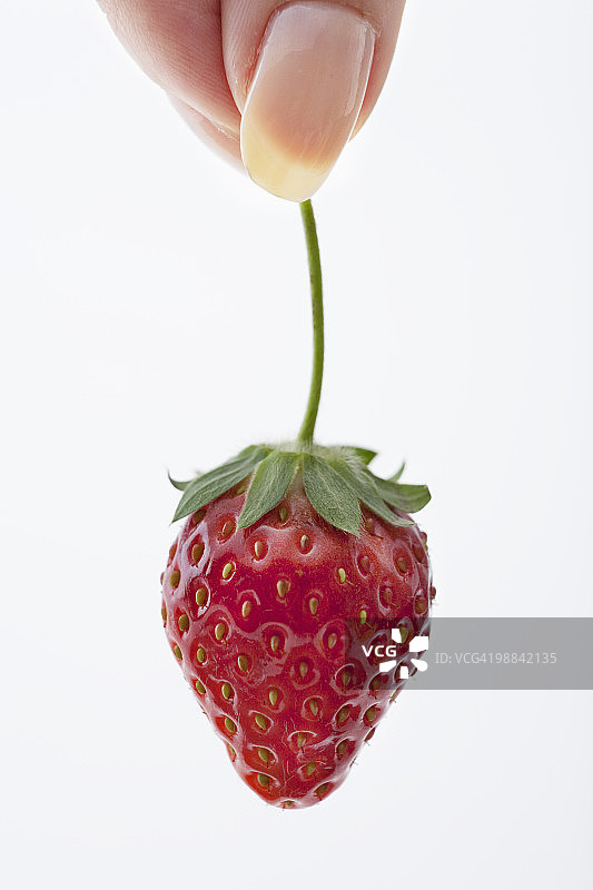 草莓特写图片素材