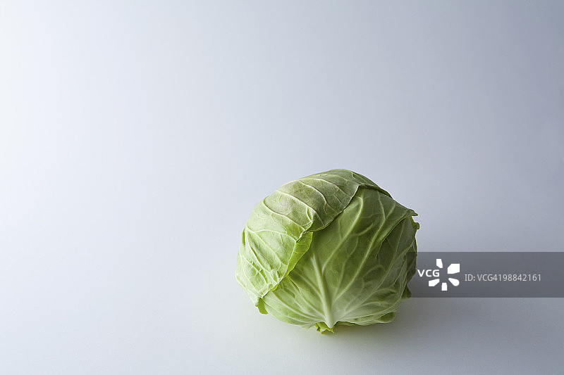 一颗卷心菜图片素材