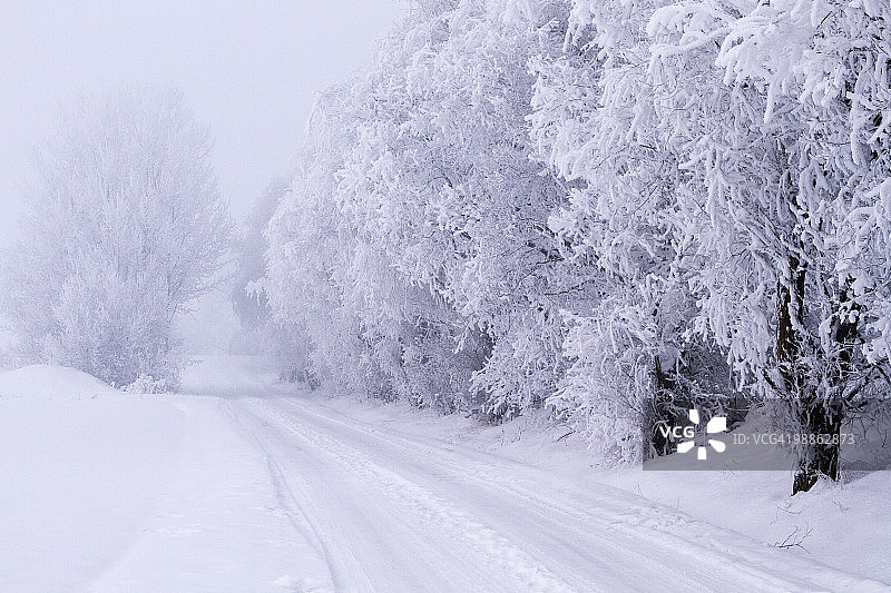 雾中的道路穿过白雪覆盖的树木和景观图片素材