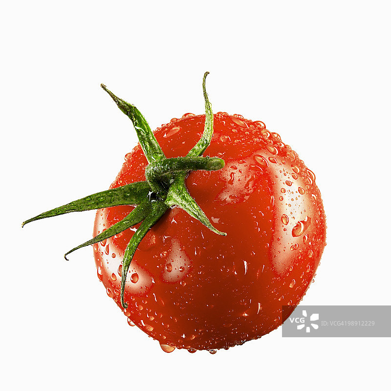 水滴番茄特写图片素材