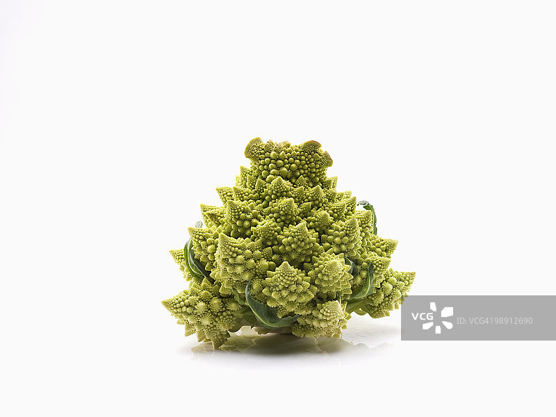 白色背景上的罗马花椰菜特写图片素材