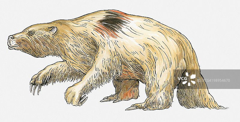早期哺乳动物：巨爪地懒插画图片素材