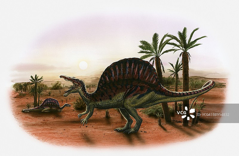 史前景观中的两只棘龙插画图片素材
