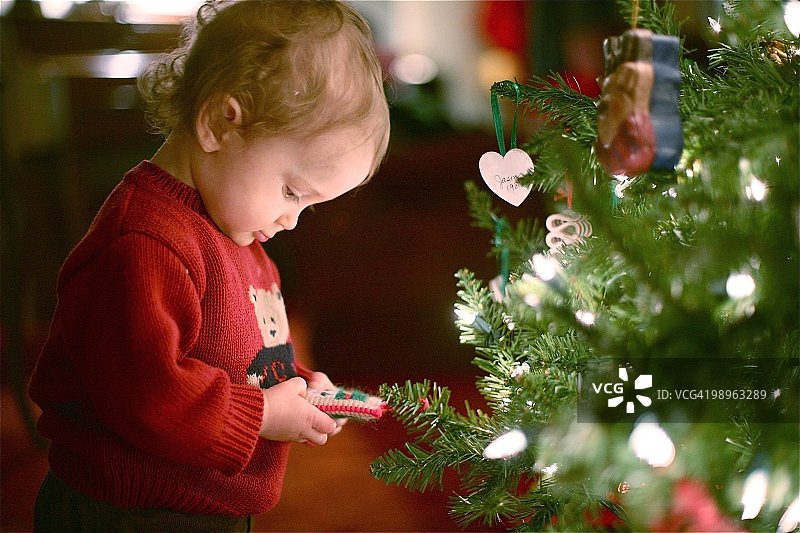 小男孩和圣诞树图片素材