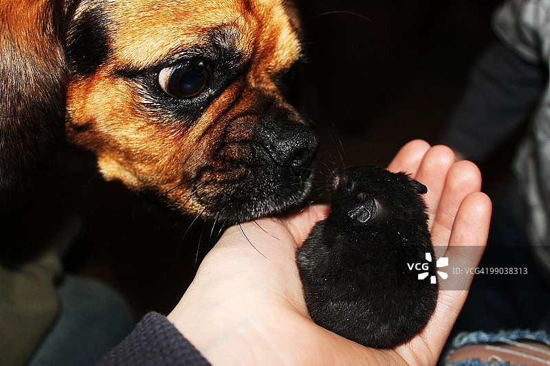 我们可以做朋友吗图片素材