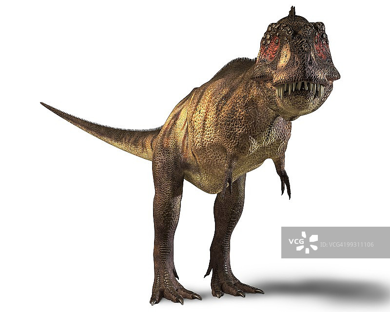 霸王龙恐龙图片素材