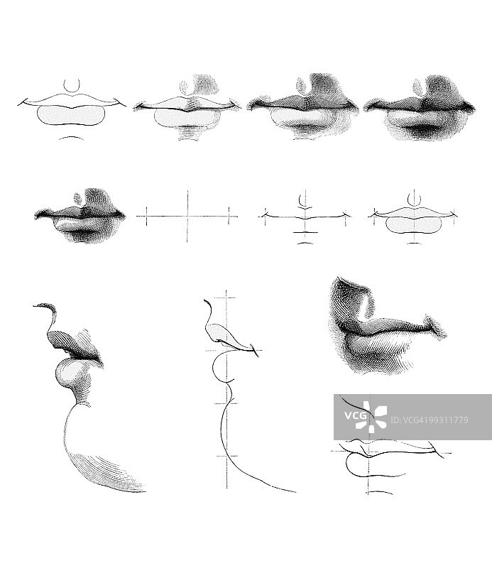 嘴巴艺术作品图片素材