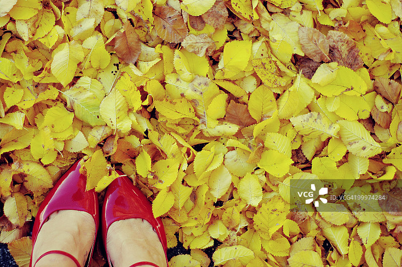 红色鞋子和黄色秋叶图片素材