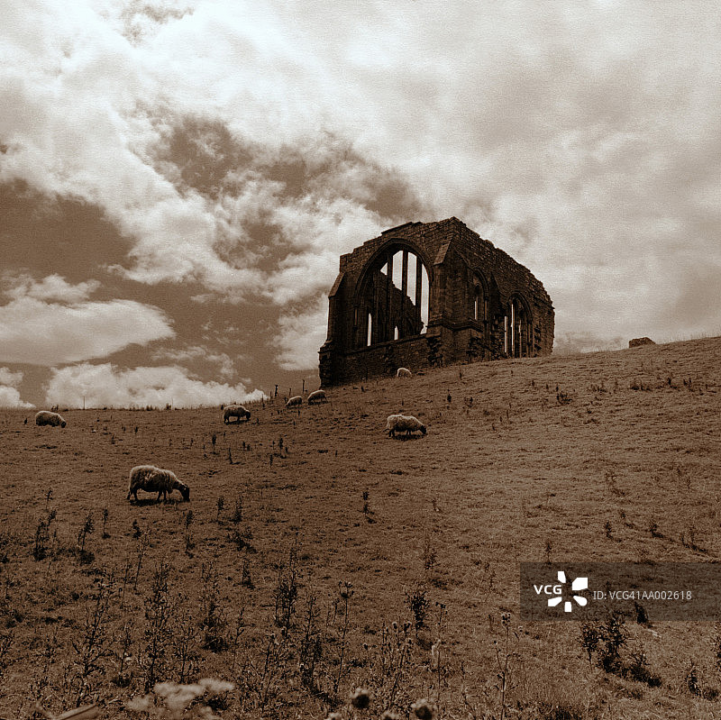 英国达勒姆郡的埃格尔斯顿修道院图片素材