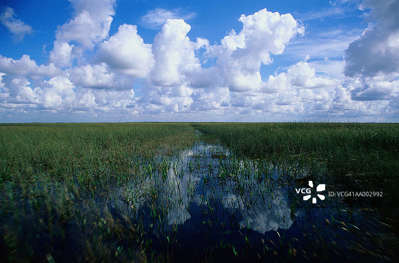 佛罗里达州大沼泽地国家公园图片素材