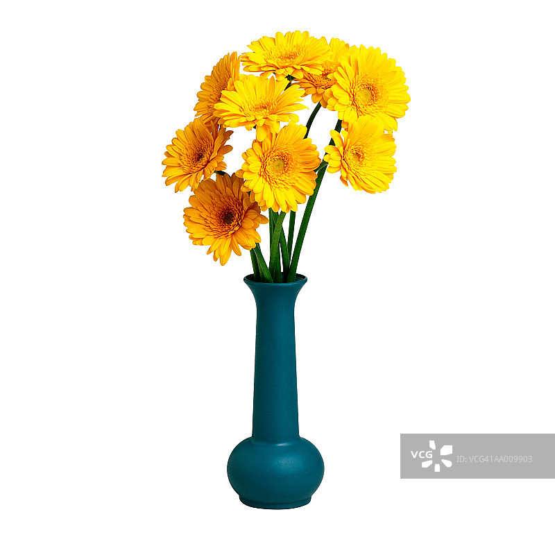 花瓶里的万寿菊图片素材