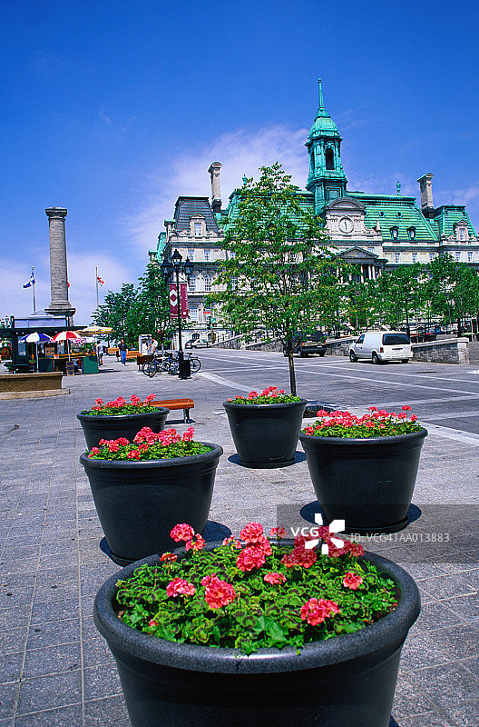 雅克·卡蒂埃广场沿线的花朵图片素材