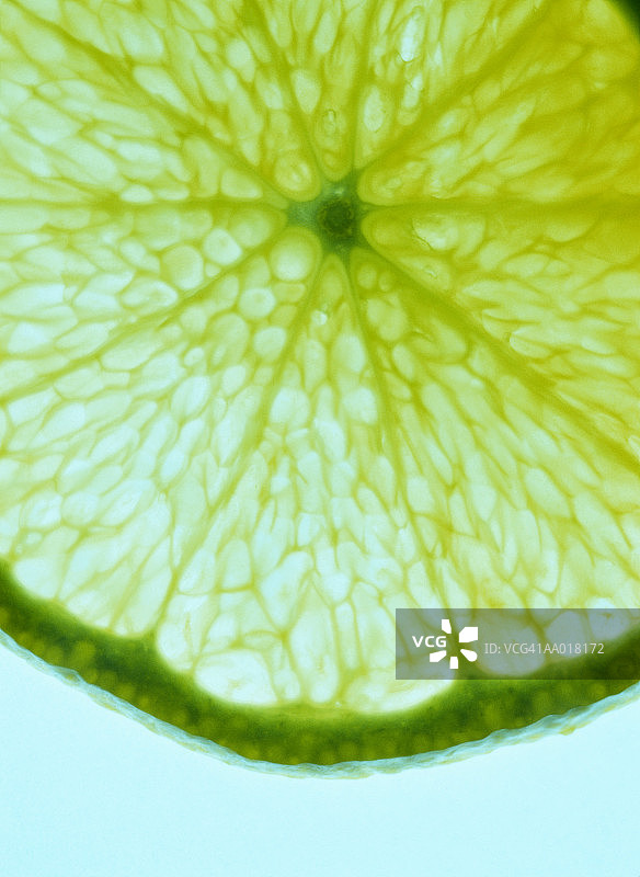 橙子切片特写图片素材