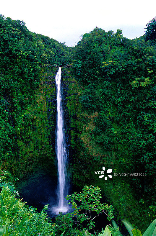 夏威夷希洛的阿卡卡瀑布图片素材