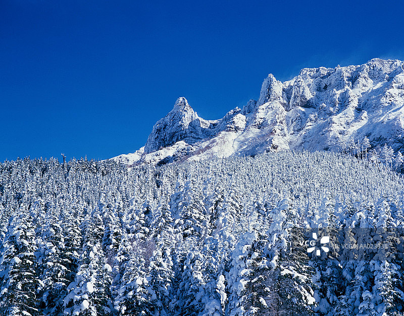 冬季的八岳山图片素材