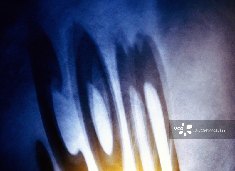 互联网企业网址图片素材