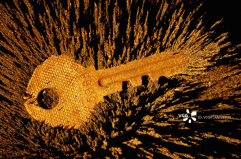 磁性钥匙上的铁屑图片素材