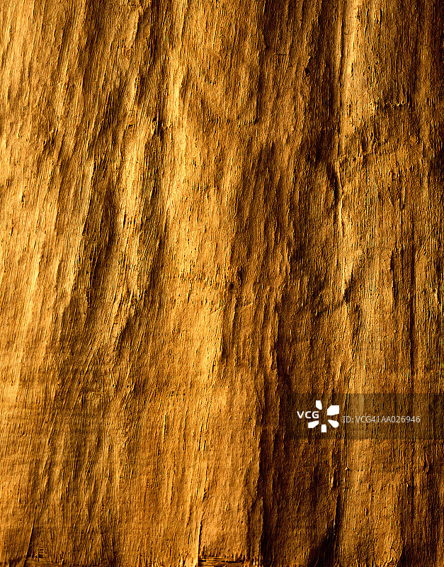 树皮纸特写图片素材