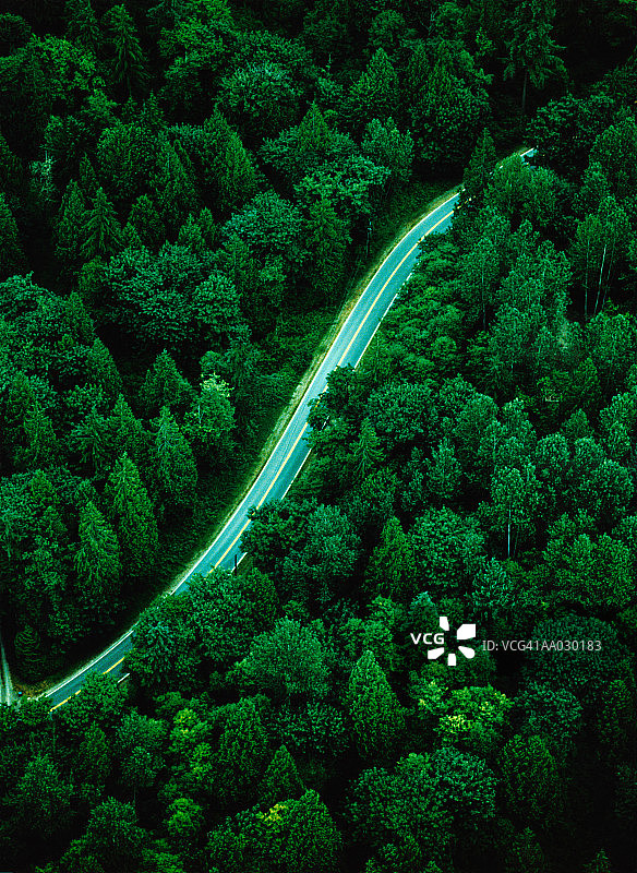 穿过森林的公路图片素材