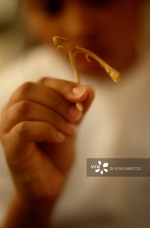 手持叉骨的女孩图片素材