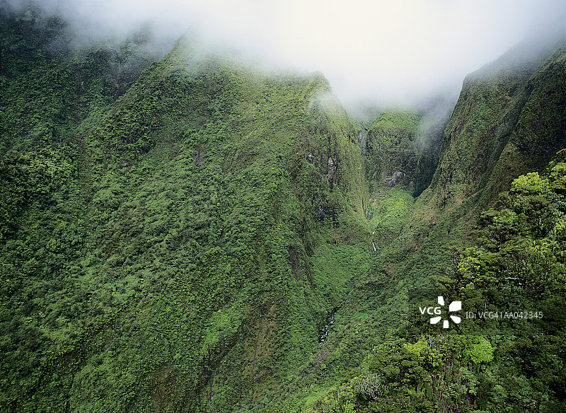 毛伊岛伊奥山谷的雾图片素材