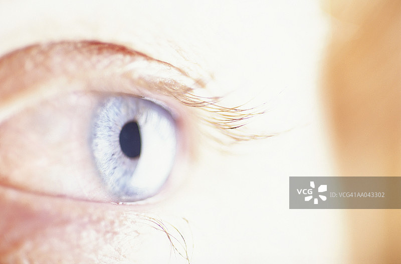 人眼特写图片素材