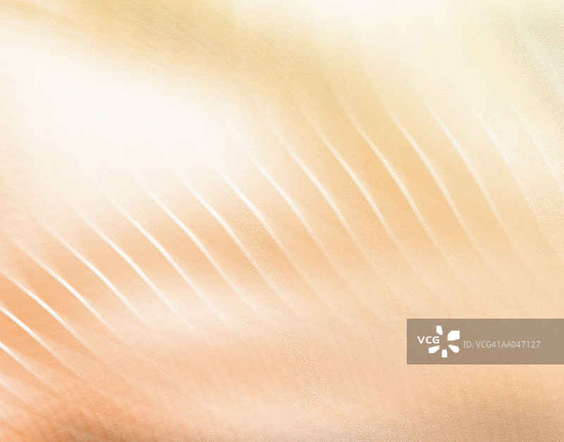 米色波纹，完整画面图片素材