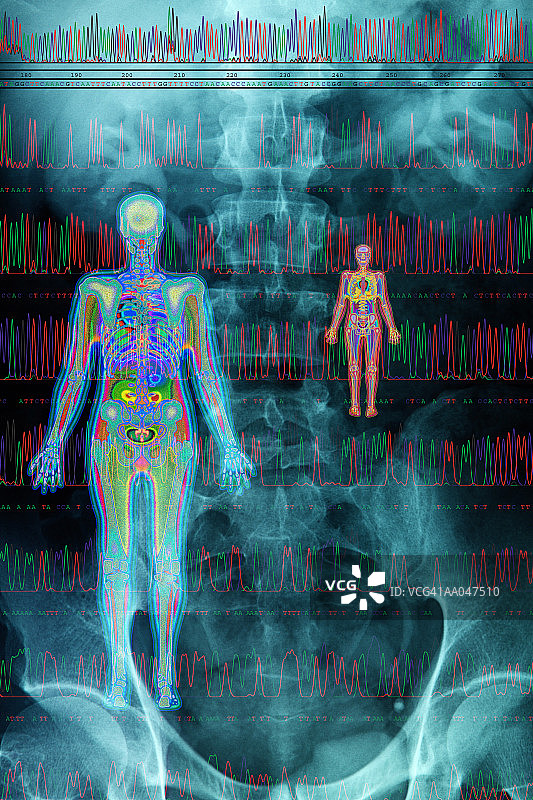 医学扫描（数字合成图）图片素材