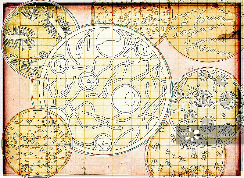 培养皿图片素材