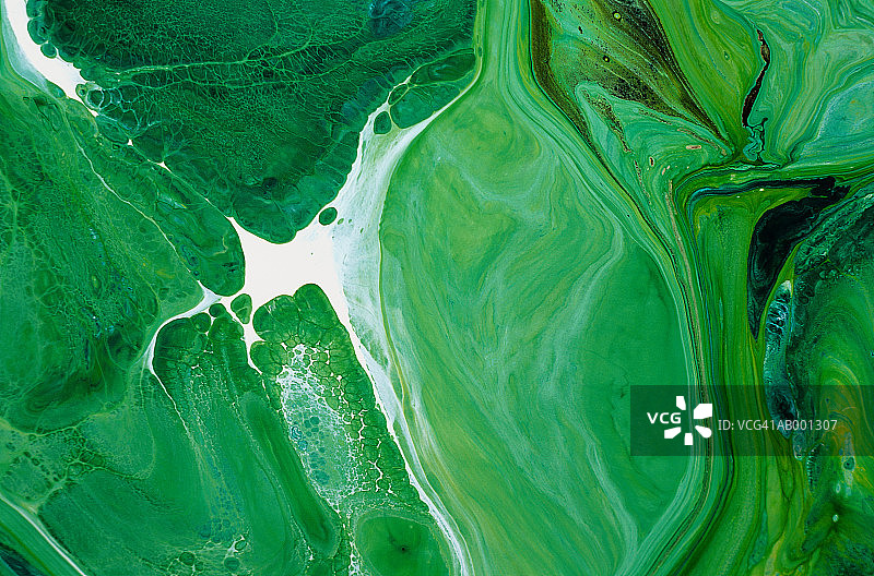 绿色艺术图案图片素材