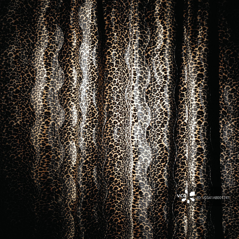 豹纹特写图片素材