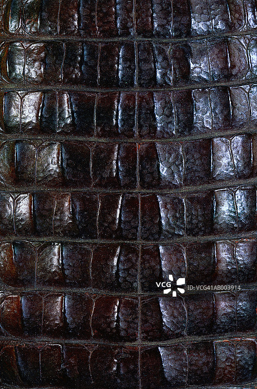 鳄鱼皮图片素材