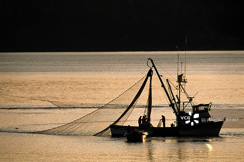 宁静海湾日落时分的商业渔船剪影图片素材