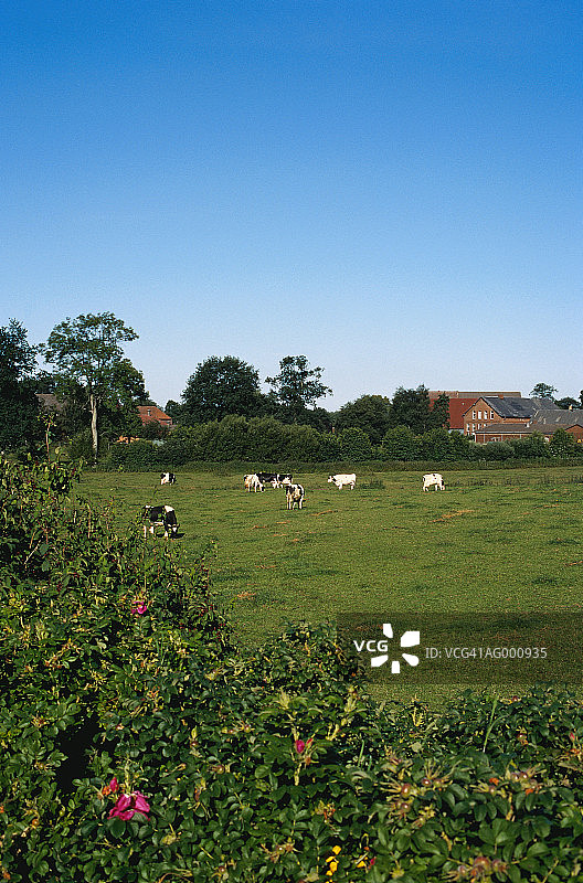 德国巴特塞格贝格的农场图片素材