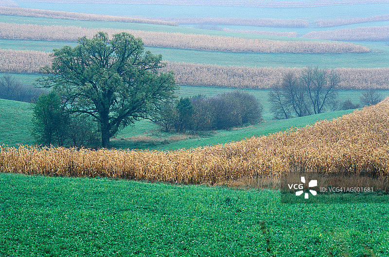 美国威斯康星州的田园风光图片素材