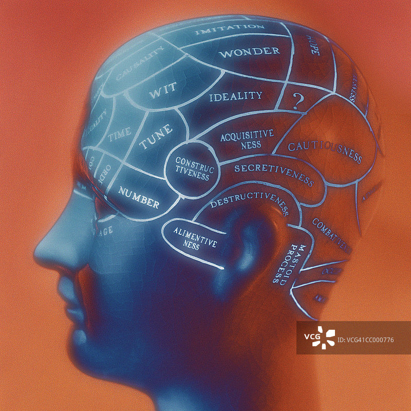 颅相学头部图图片素材