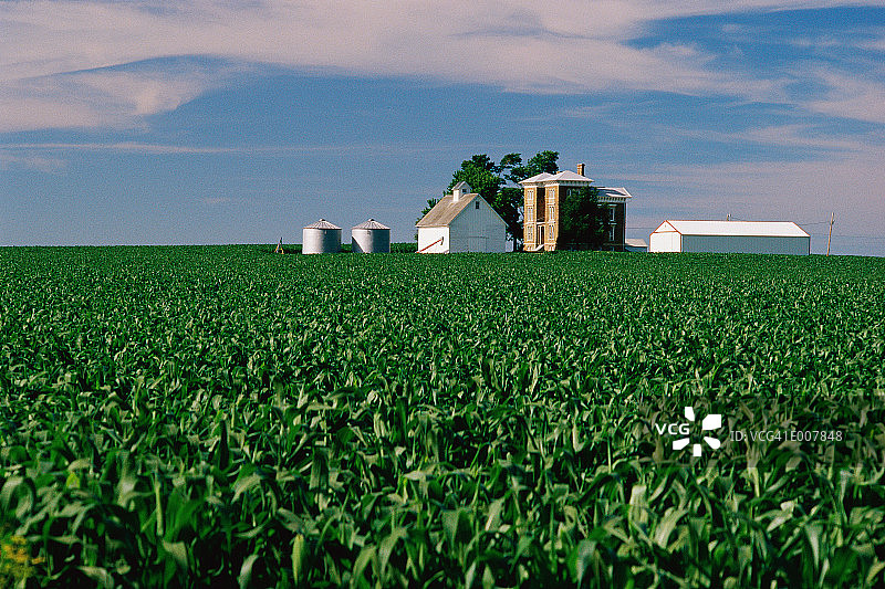 远处有农用建筑的田野图片素材