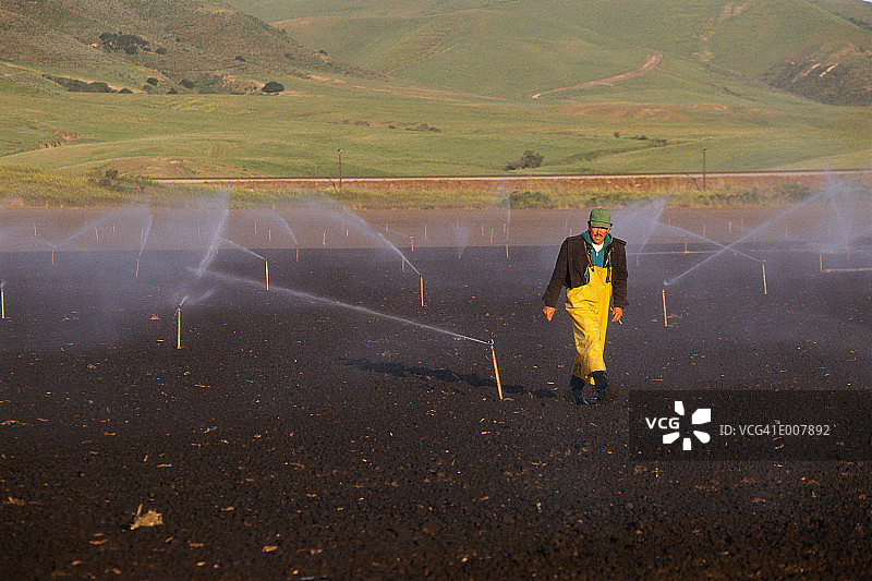 农民在洒水器间行走图片素材
